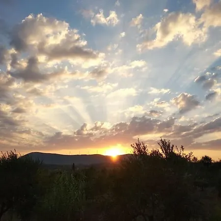 το σπίτι της ελιάς Villa