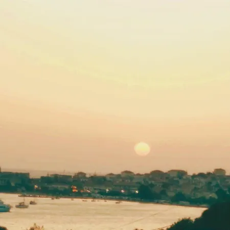 Villa το σπίτι της ελιάς *