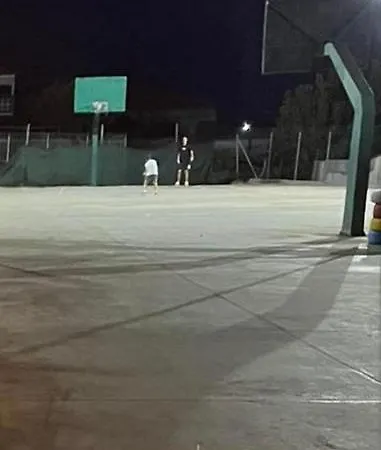 το σπίτι της ελιάς