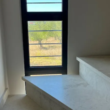 το σπίτι της ελιάς