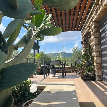 το σπίτι της ελιάς