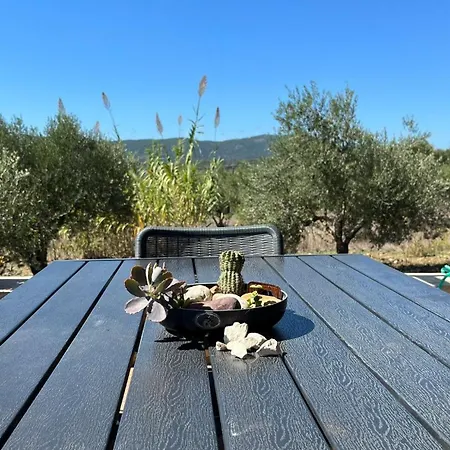 το σπίτι της ελιάς Villa *