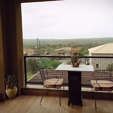 Villa το σπίτι της ελιάς *