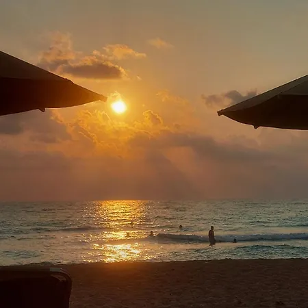 Villa το σπίτι της ελιάς *