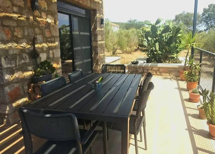 το σπίτι της ελιάς *