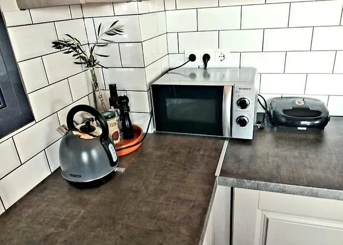 το σπίτι της ελιάς *