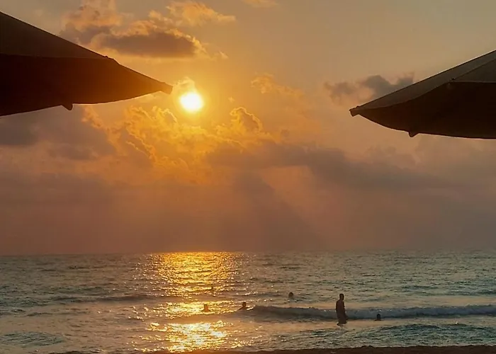 Villa το σπίτι της ελιάς *