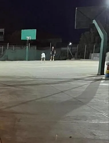 το σπίτι της ελιάς