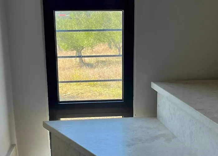 το σπίτι της ελιάς