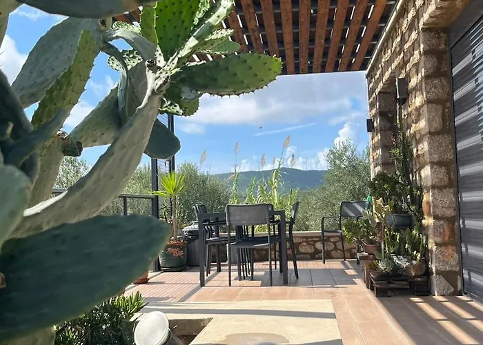 το σπίτι της ελιάς