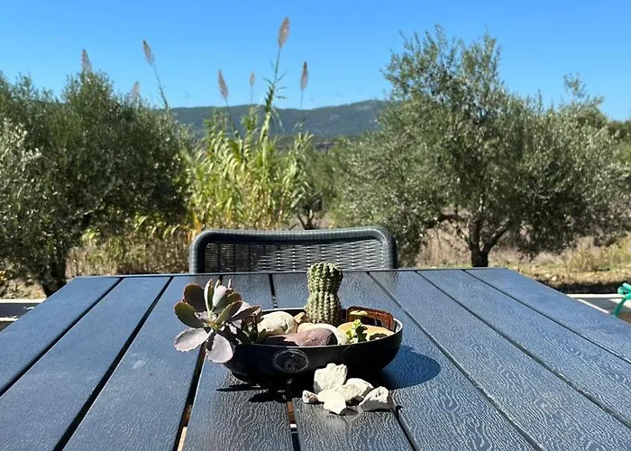 το σπίτι της ελιάς Villa *